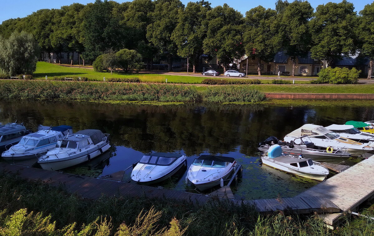 Городское лето.. - Татьян@ Ивановна