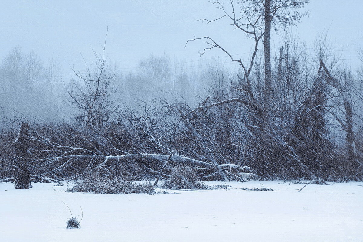 На оз. Малиновское... - Владимир Шошин