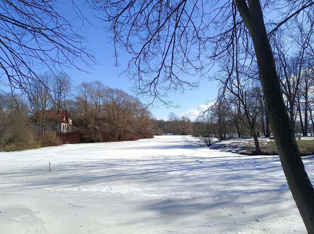 Солнечный мартовский денёк - Мария Васильева