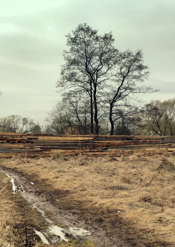 *** - Любовь *** - Любовь