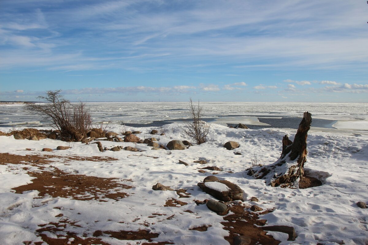 Зеленогорск. Март - Наталья Герасимова Зеленогорск. Март - Наталья Герасимова