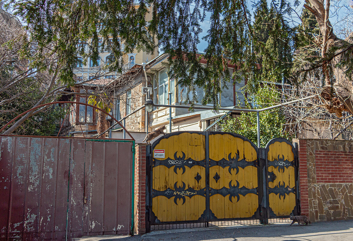 Городской интерьер с котами - Юрий Яловенко Городской интерьер с котами - Юрий Яловенко