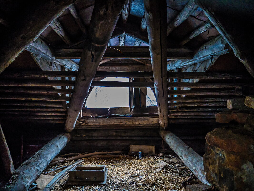 Чердак - Наталья Rosenwasser