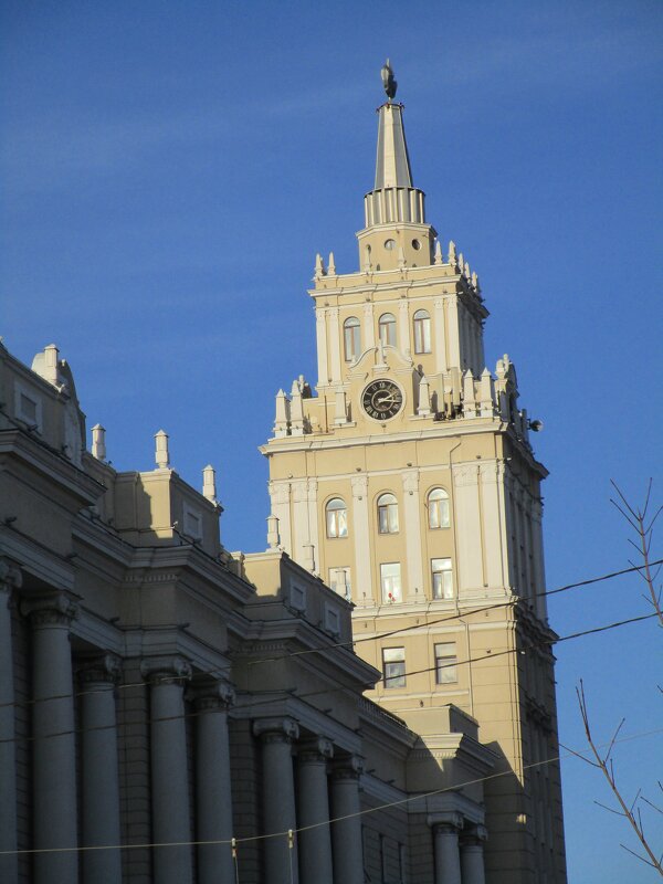 Воронеж - Елена Шаламова