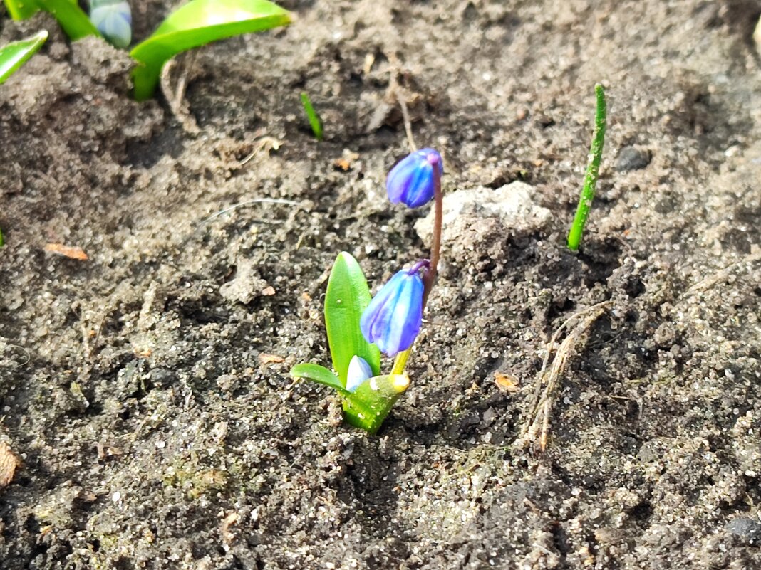 ,,, - Сергей Тимоновский