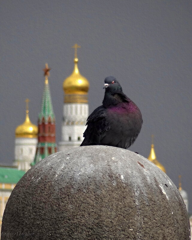 На фоне Кремля... - Andrey Lomakin