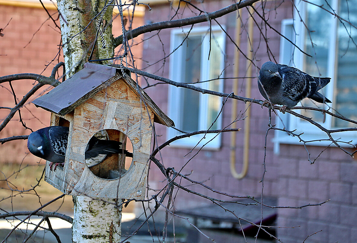 Что там?.. - Светлана Что там?.. - Светлана