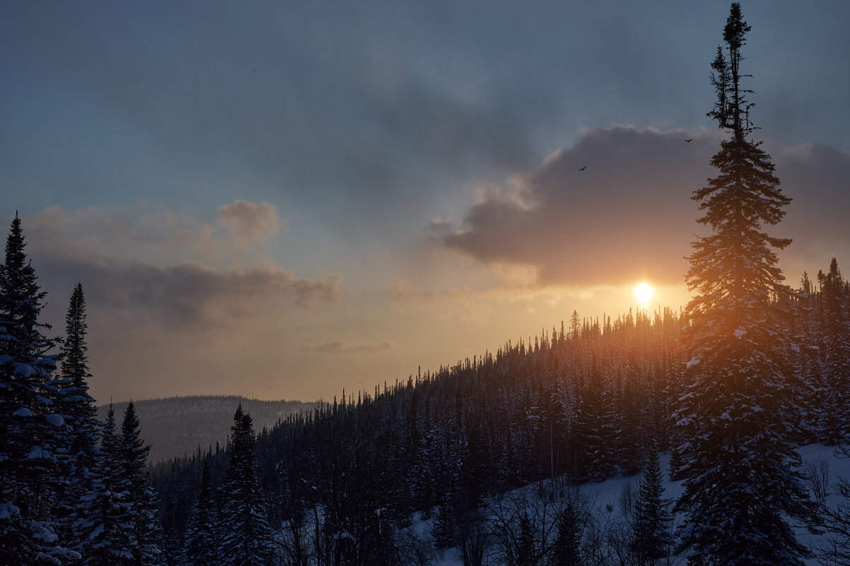 * - Александр Иванов