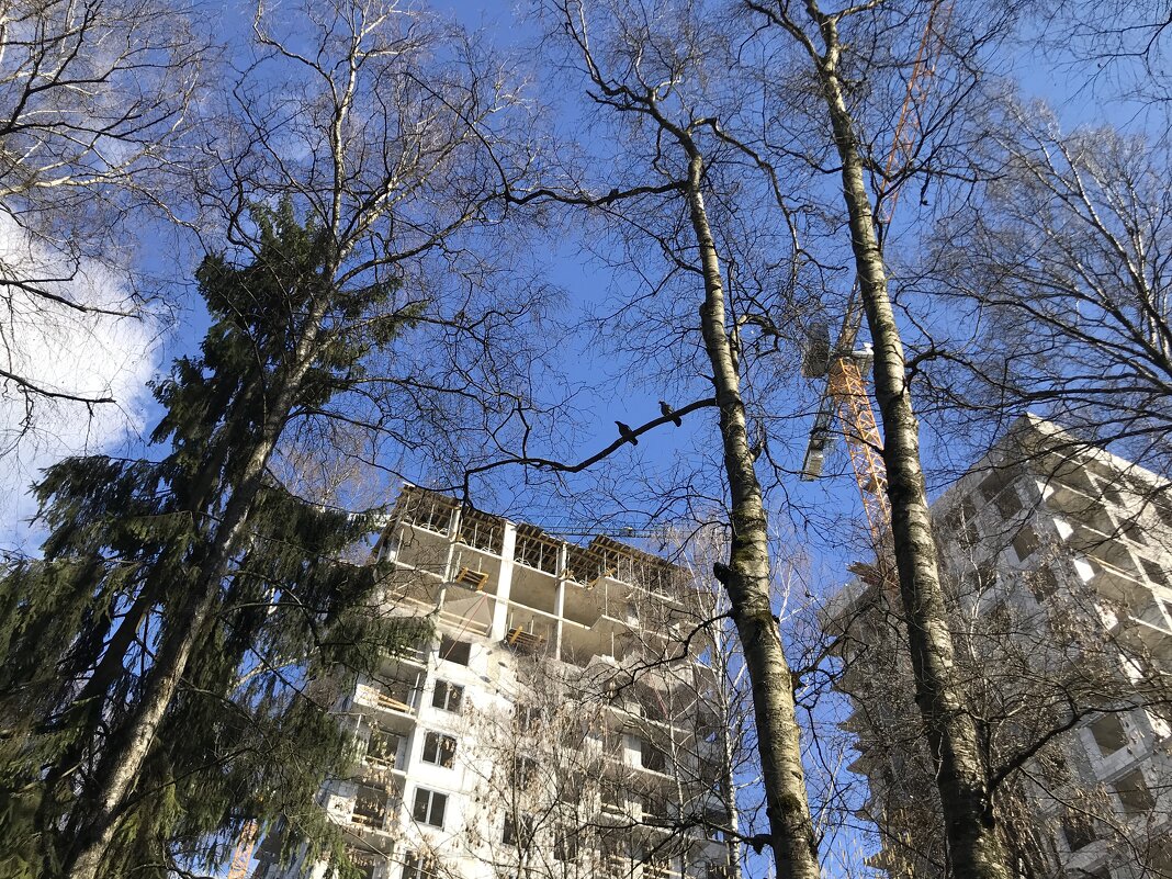 Два наблюдателя) - Любовь Два наблюдателя) - Любовь