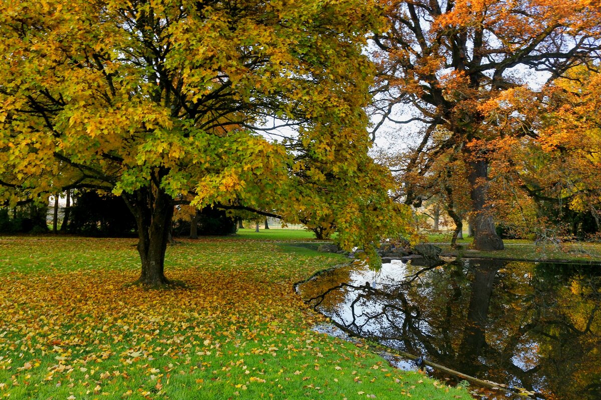 Осенний парк - Юрий. Шмаков Осенний парк - Юрий. Шмаков
