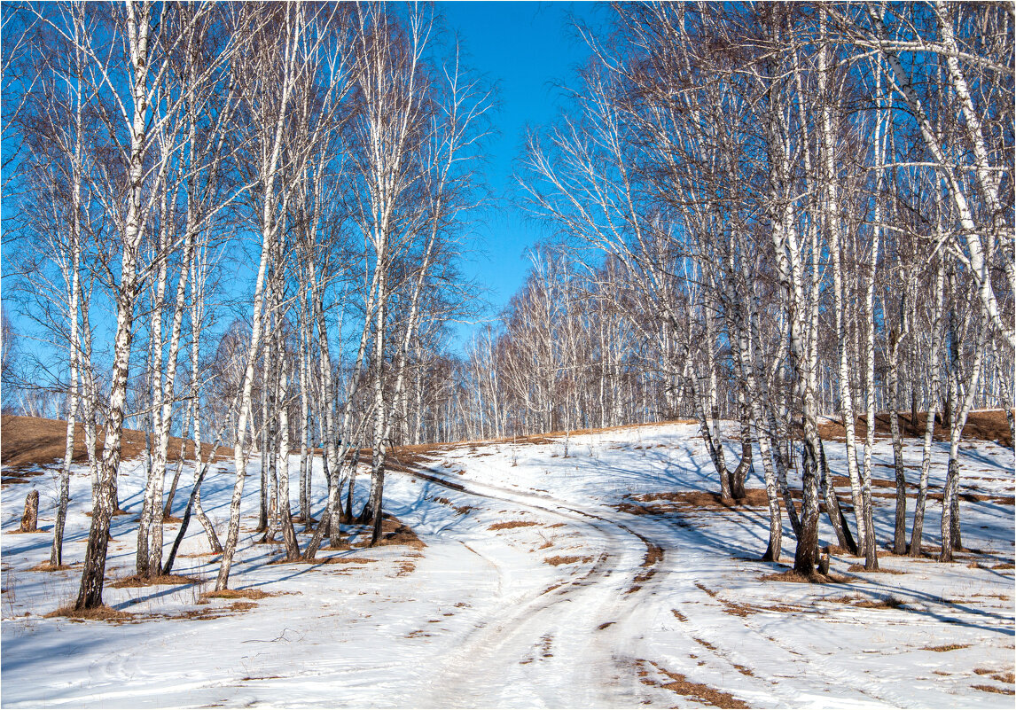 Весенние дороги.. - Алексей Мезенцев Весенние дороги.. - Алексей Мезенцев