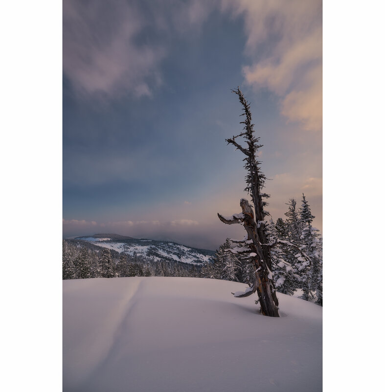 * - Александр Иванов * - Александр Иванов