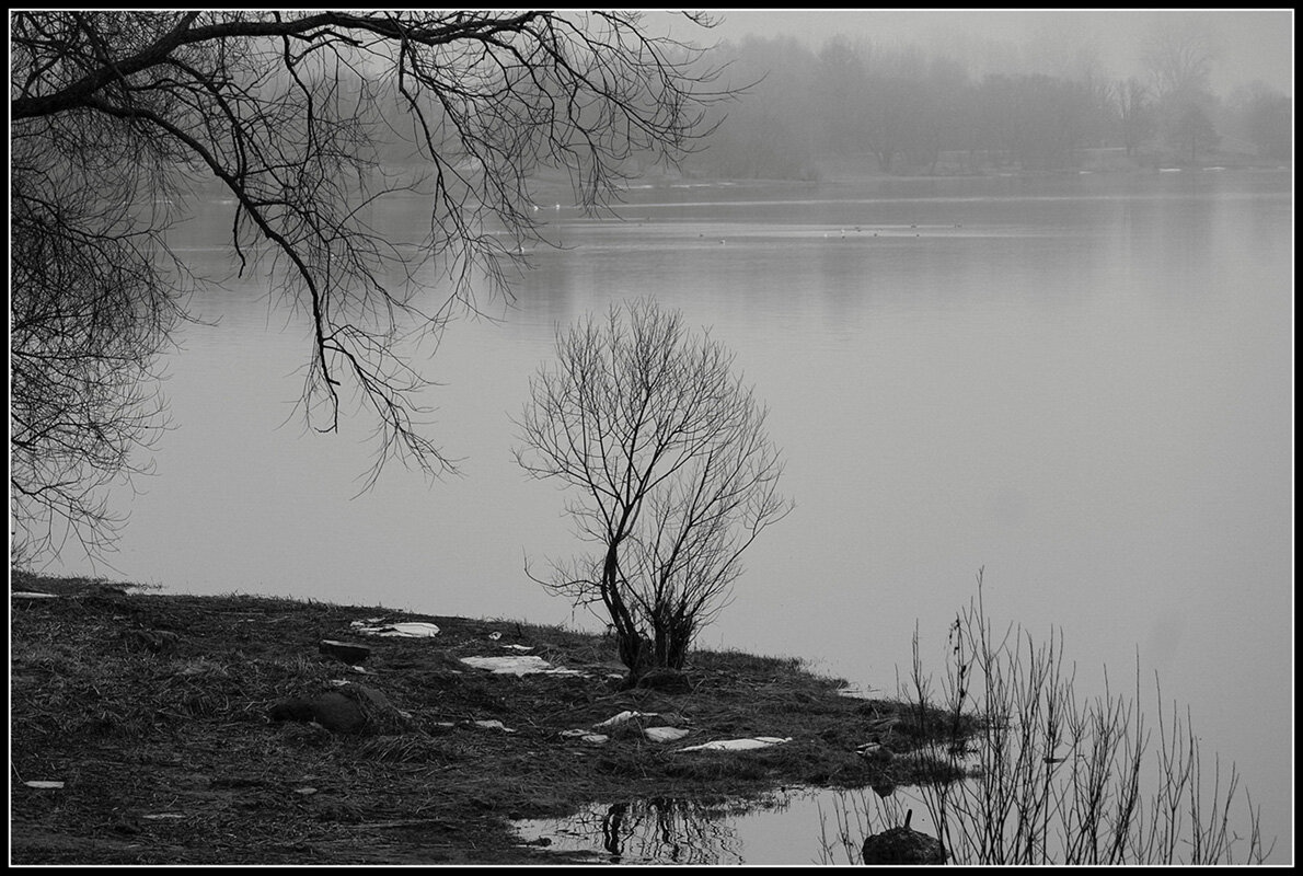 *** - Aleksandr Gal *** - Aleksandr Gal