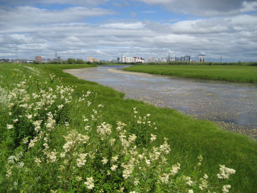 Лето - Anna Ivanova Лето - Anna Ivanova