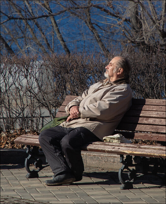 Тёплое солнце - Александр Тарноградский