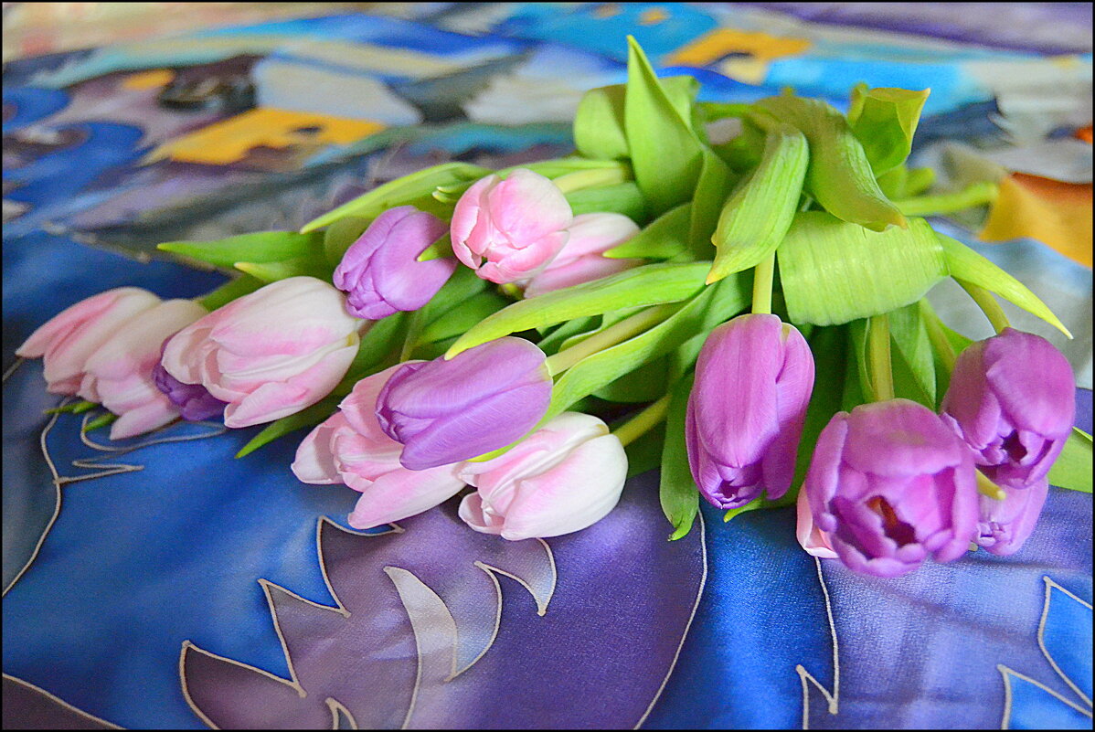 ТЮЛЬПАНЫ - Татьяна Касьяненко ТЮЛЬПАНЫ - Татьяна Касьяненко