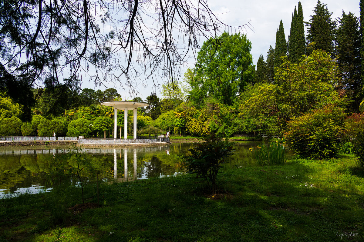 Дендрарий - Сергей Алексеевич Митянин