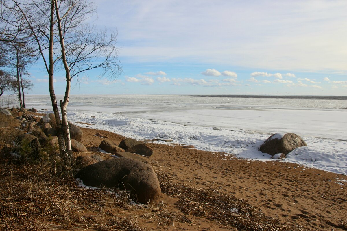 Зеленогорск. Март - Наталья Герасимова Зеленогорск. Март - Наталья Герасимова