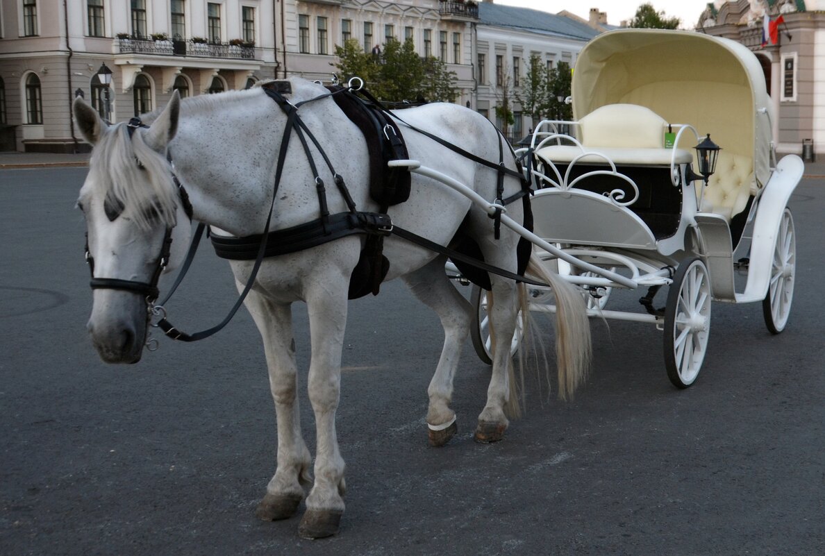 Гужевой транспорт - Сергей М Гужевой транспорт - Сергей М