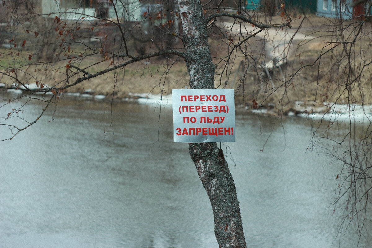 ... - Елена Сиднина