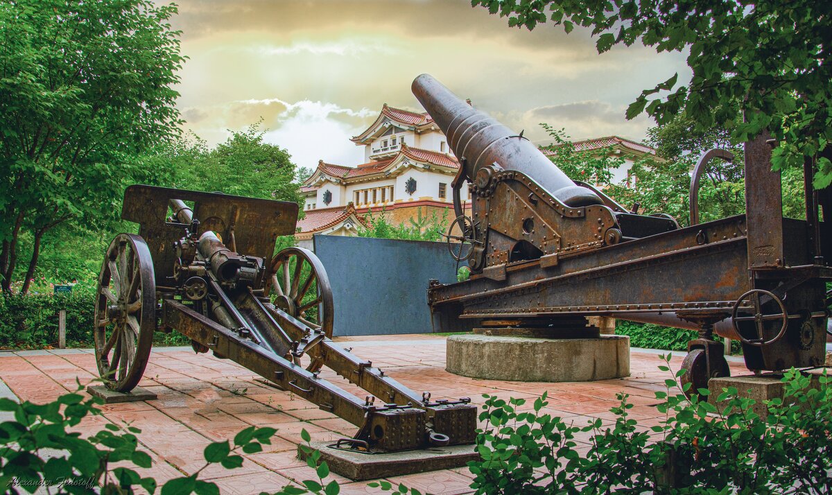 Орудия - Alexander Fedotov