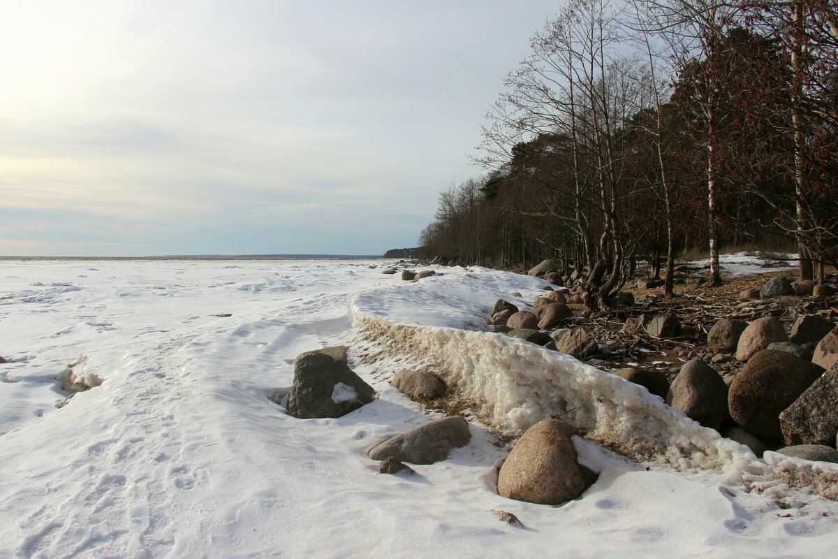 Зеленогорск. Март - Наталья Герасимова Зеленогорск. Март - Наталья Герасимова