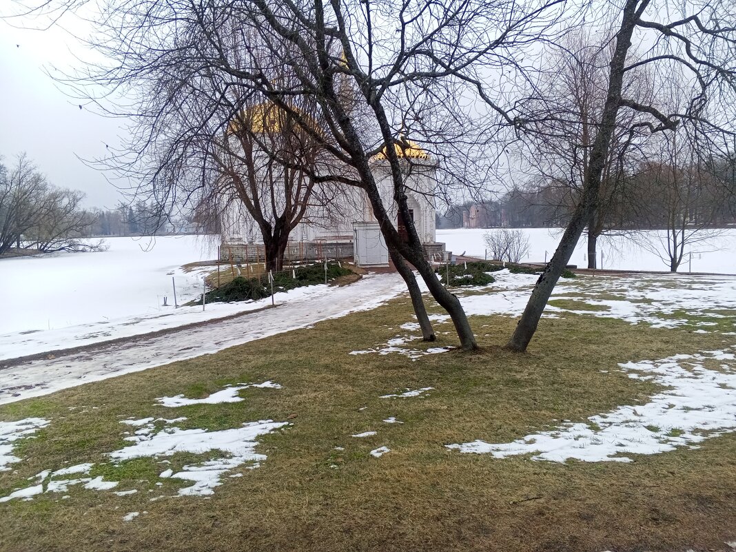 Весна - Сапсан 