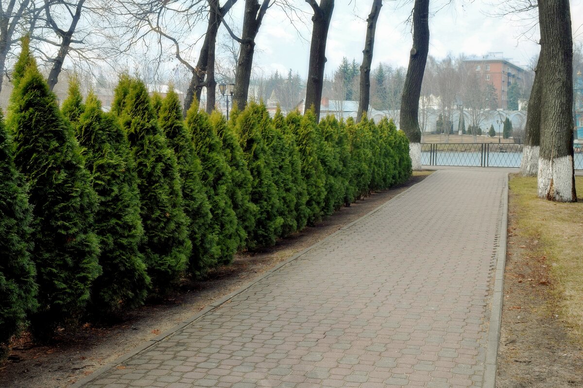 От собора к пруду. - Татьяна Помогалова От собора к пруду. - Татьяна Помогалова