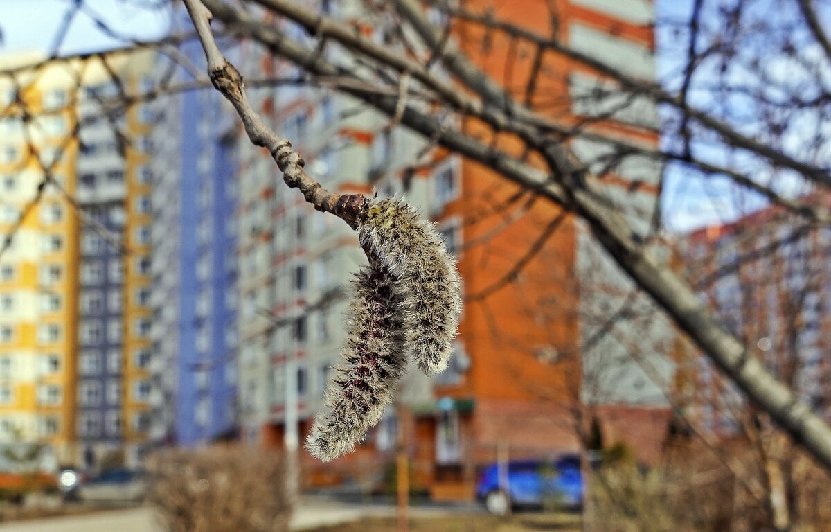 Весенний этюд - Валерий Иванович Весенний этюд - Валерий Иванович