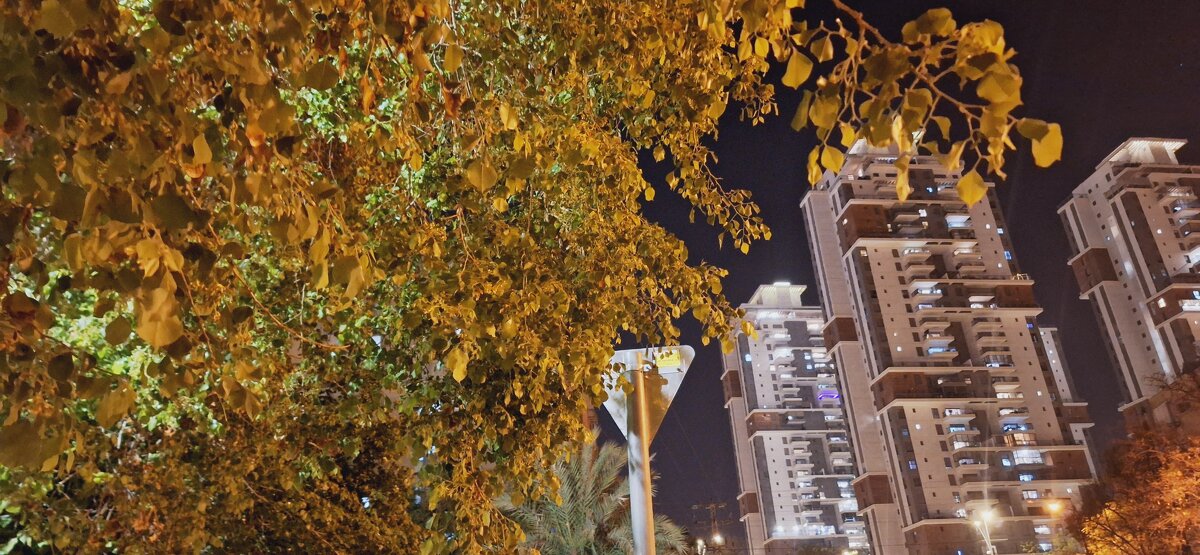 12  КЛОС (802) - CLOSE WAYS ALL