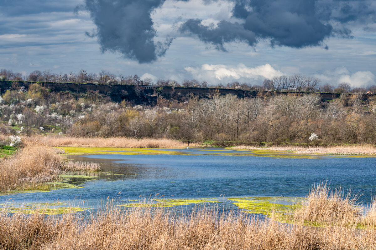 Весна - Игорь Сикорский Весна - Игорь Сикорский