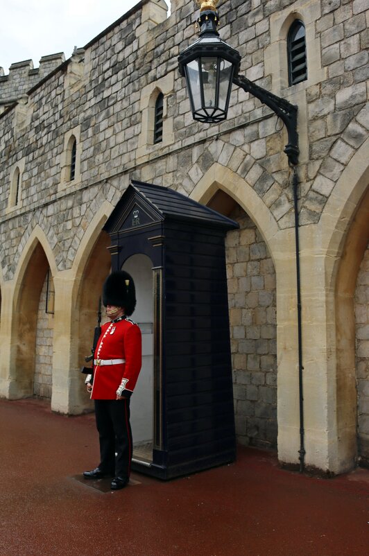 Ох, рано встаёт охрана... - Ольга Ох, рано встаёт охрана... - Ольга