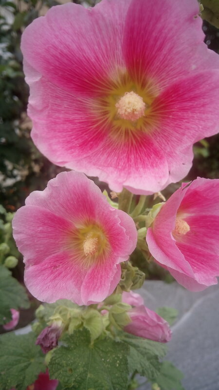 ,,, - Сергей Тимоновский