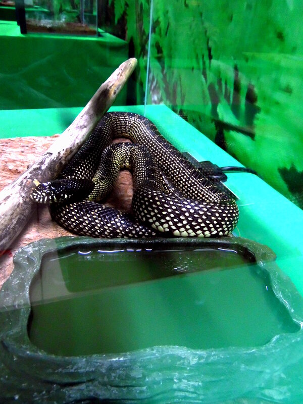 С собственной ванной. - nadyasilyuk Вознюк С собственной ванной. - nadyasilyuk Вознюк