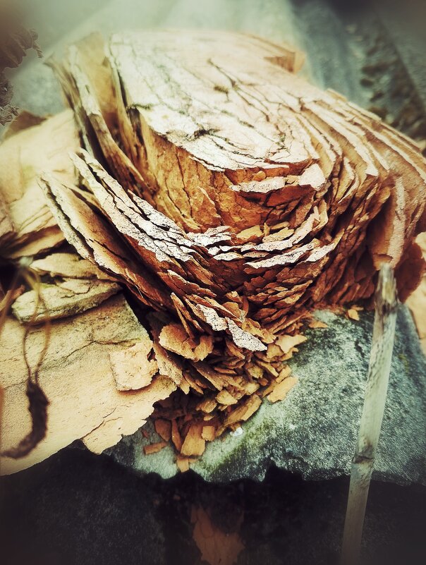 " кирпич ... " - Руслан " кирпич ... " - Руслан