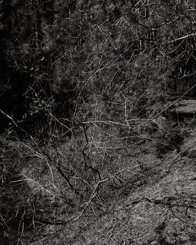 Название отсутствует - Денис Безногов Название отсутствует - Денис Безногов