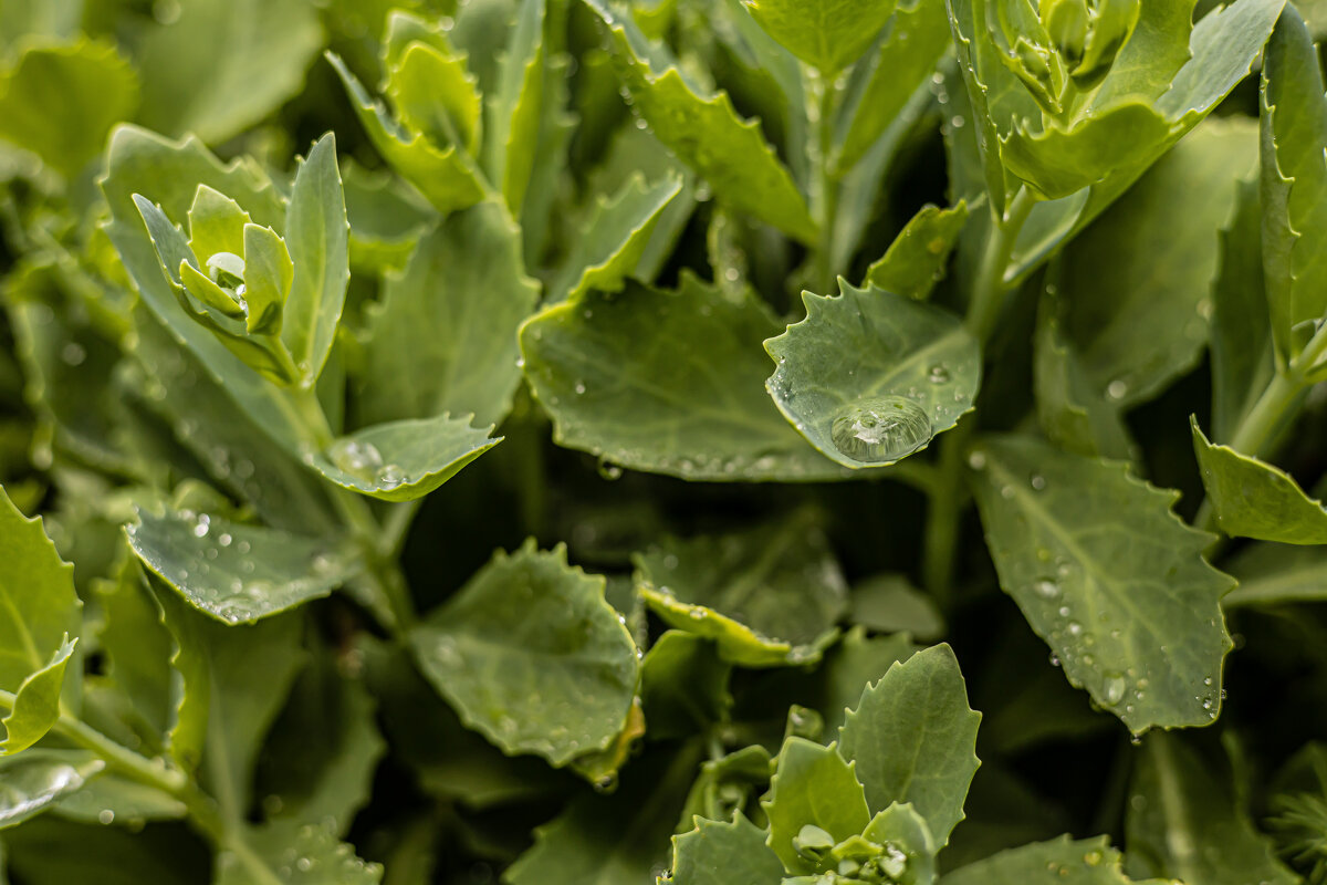 22 марта - всемирный день воды - Анастасия Фотографовна