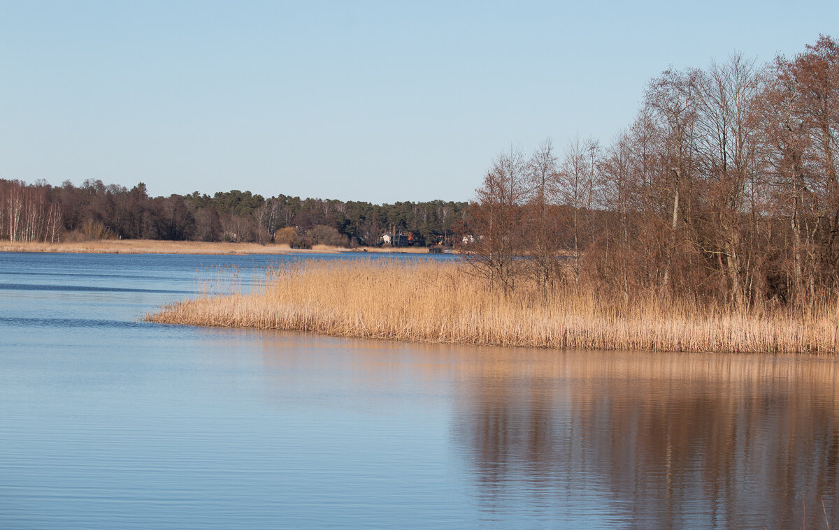 *** - Геннадий Порохов *** - Геннадий Порохов