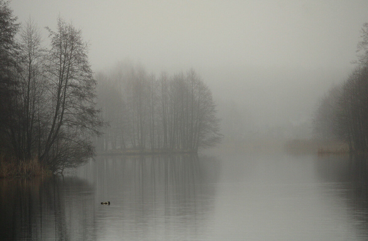 Утренний туман... - Aleksandr Gal Утренний туман... - Aleksandr Gal