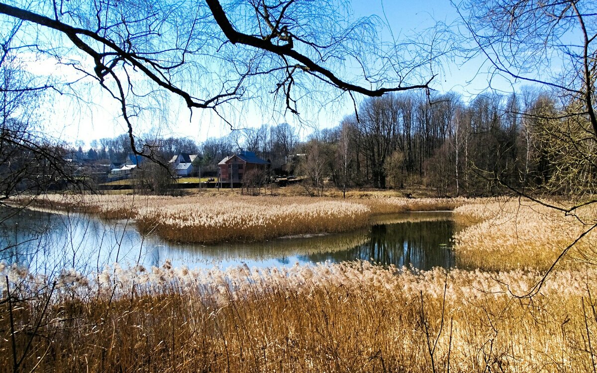 Весенний пейзаж - Милешкин Владимир Алексеевич Весенний пейзаж - Милешкин Владимир Алексеевич