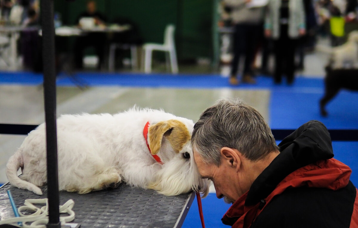Не волнуйся, дружище. Всё будет хорошо. - Магомед .