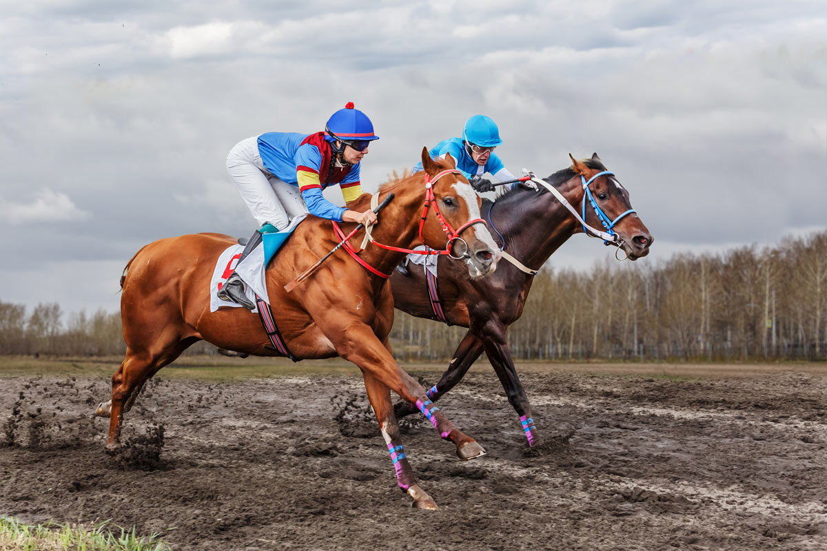 Скачки - SanSan 