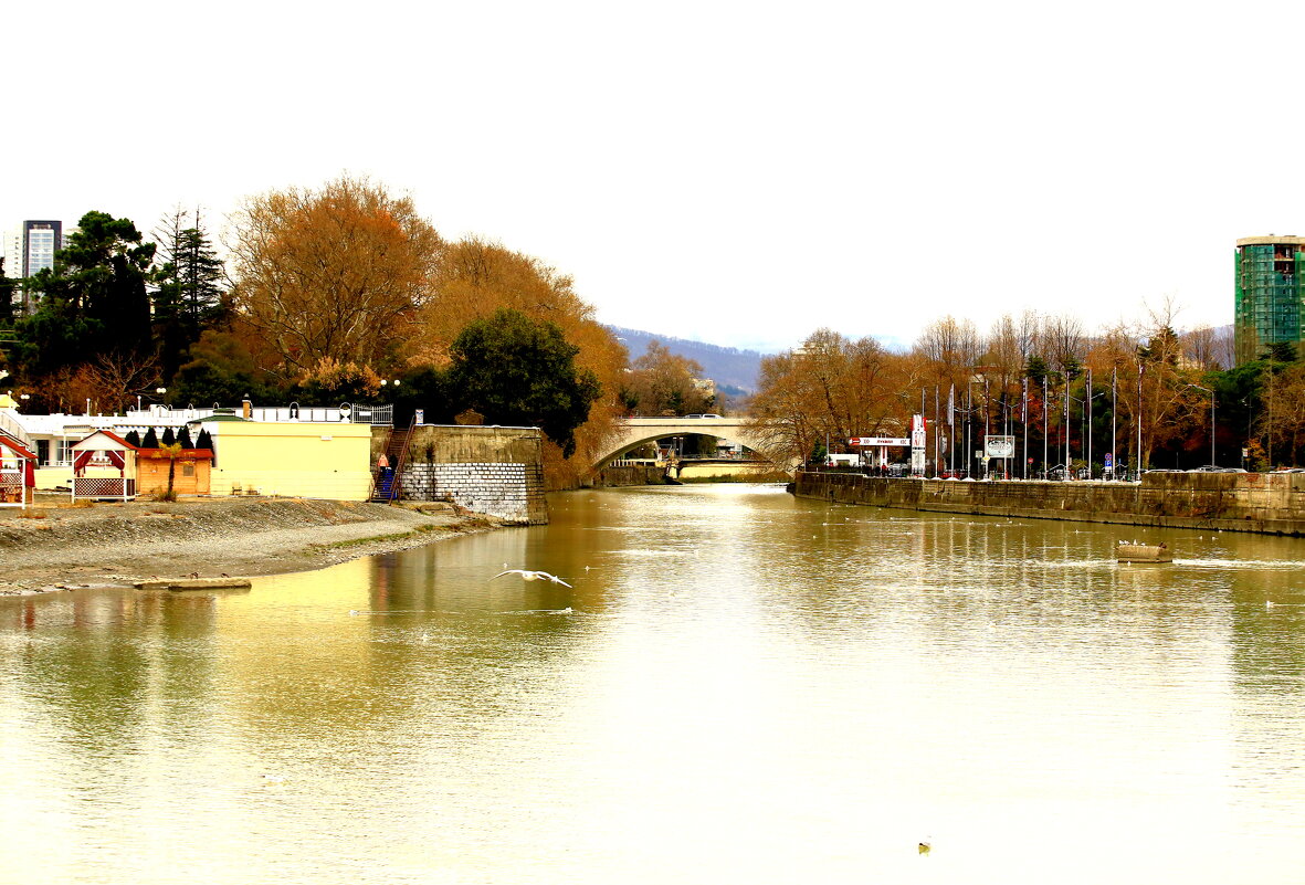 Устье реки Сочи - Валерий 