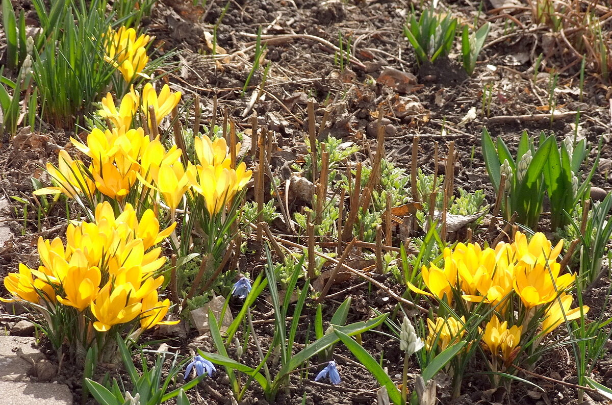 °|° - Фёдор Меркурьев