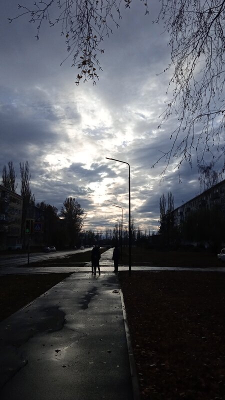 ноябрь - Елена Шаламова