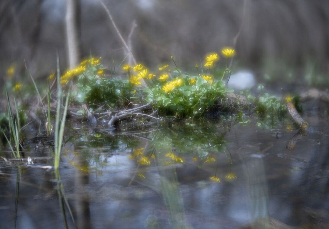Первые радости - Сергей Первые радости - Сергей