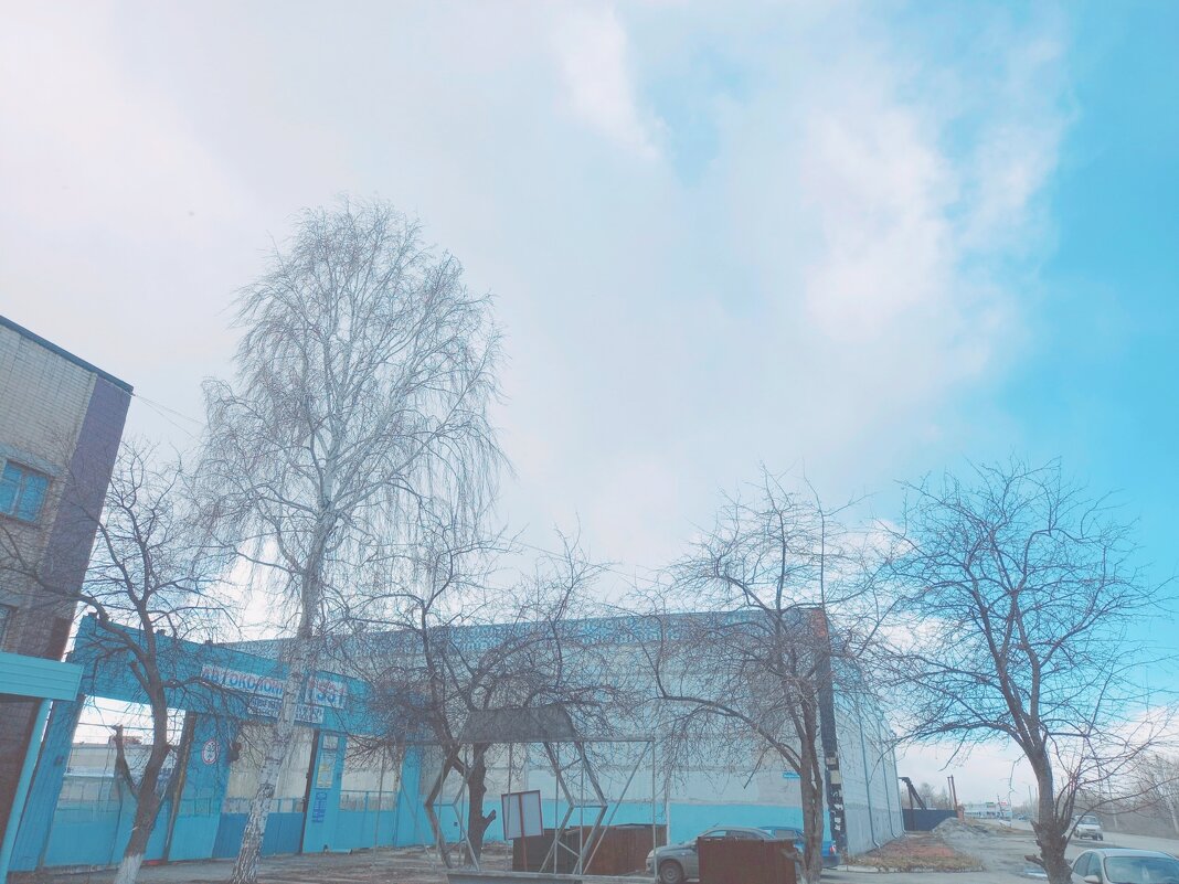 Весенняя берёзка - Игорь Солдаткин