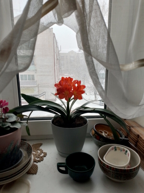 *** - Валентина Береснева *** - Валентина Береснева