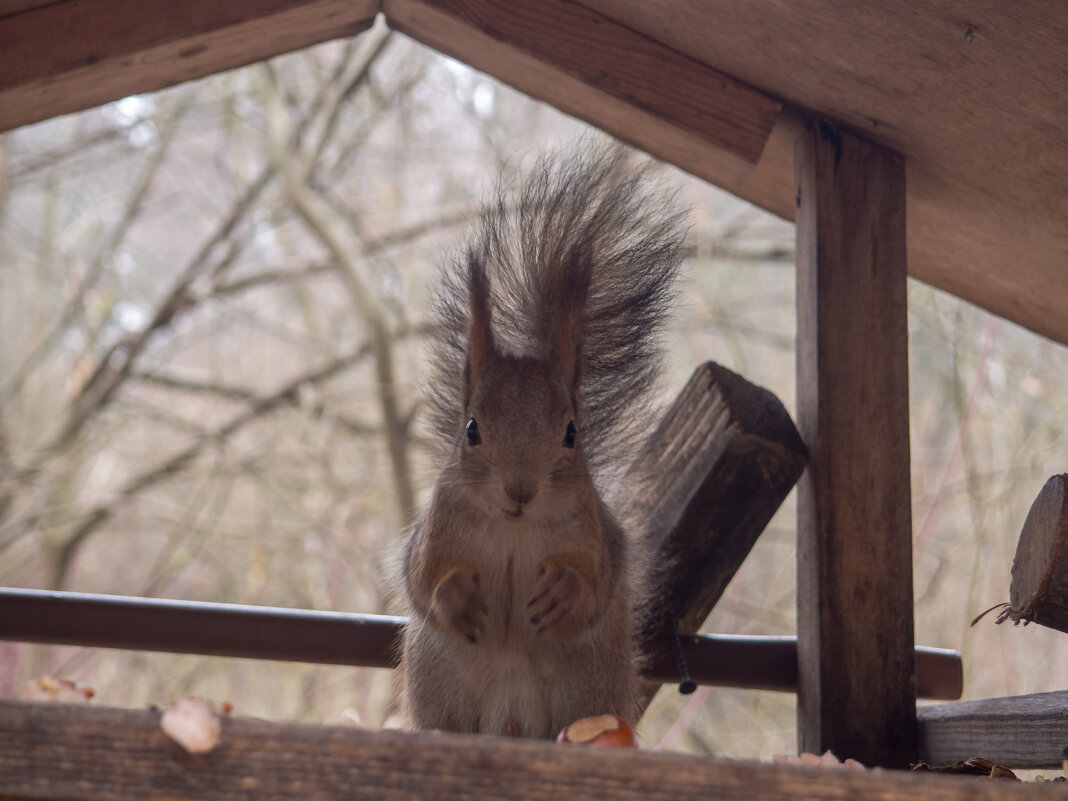 ___ - Yuriy V ___ - Yuriy V