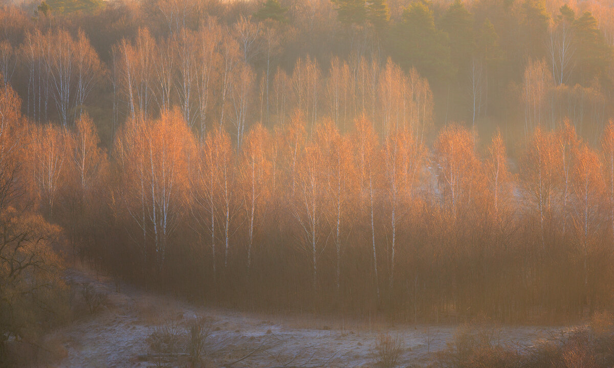 Золотая весна - Alexander Asedach